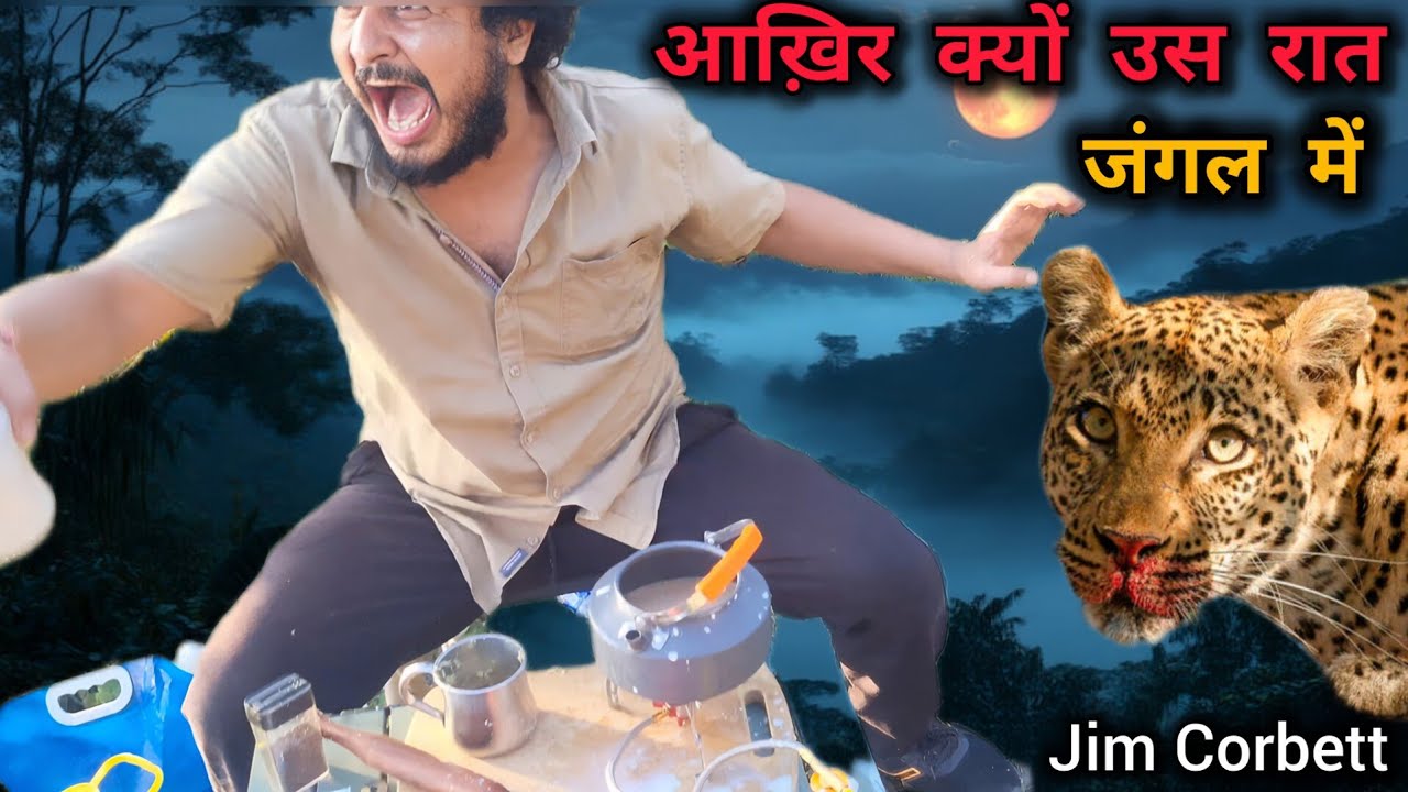 आख़िर क्यों उस रात जंगल में अचानक से सब बदल गया?