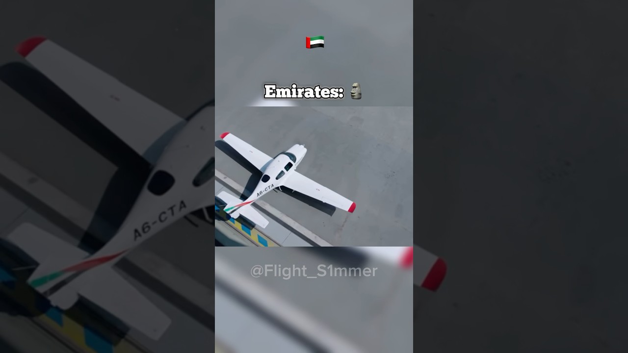 Emirates Smallest Plane 🗿| #aviation #airplane