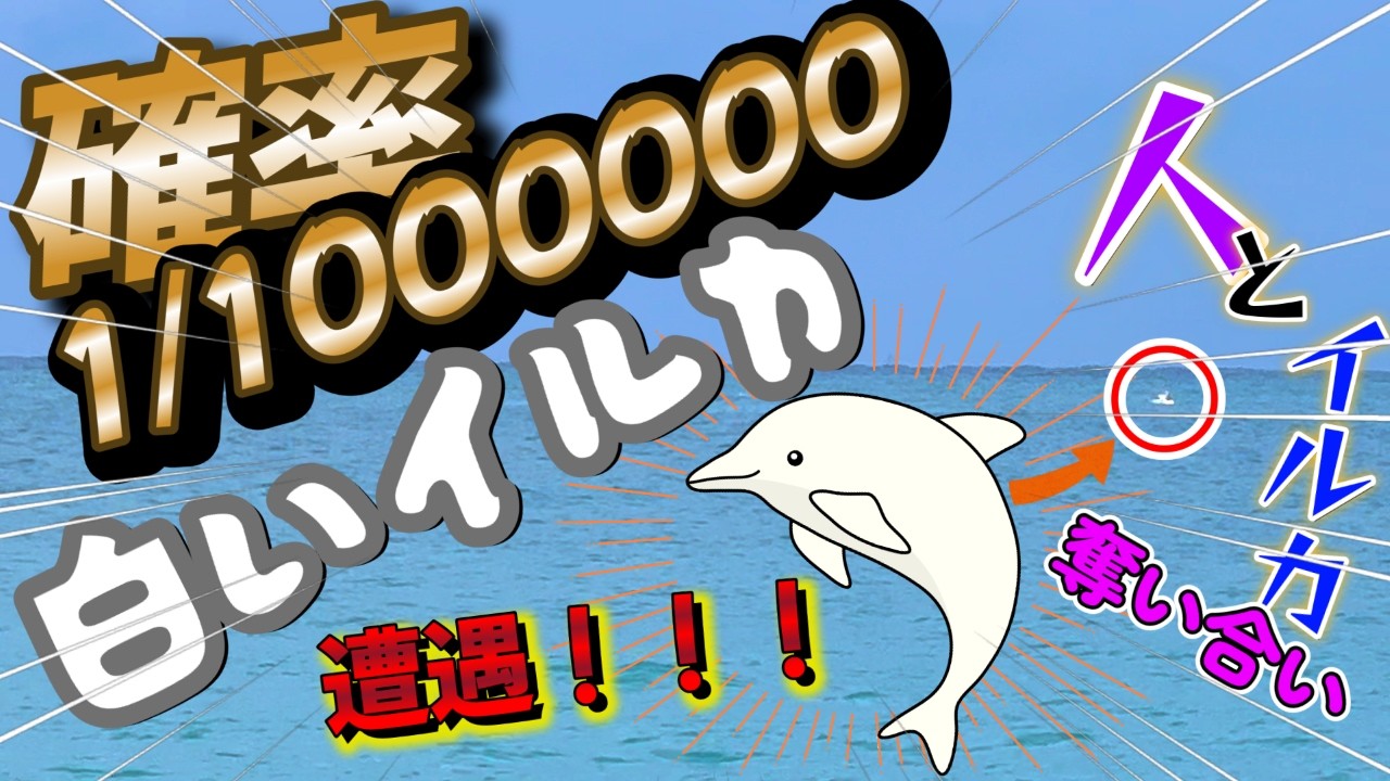 今年最初の海釣りで青物10本以上大爆釣ダ！！！！