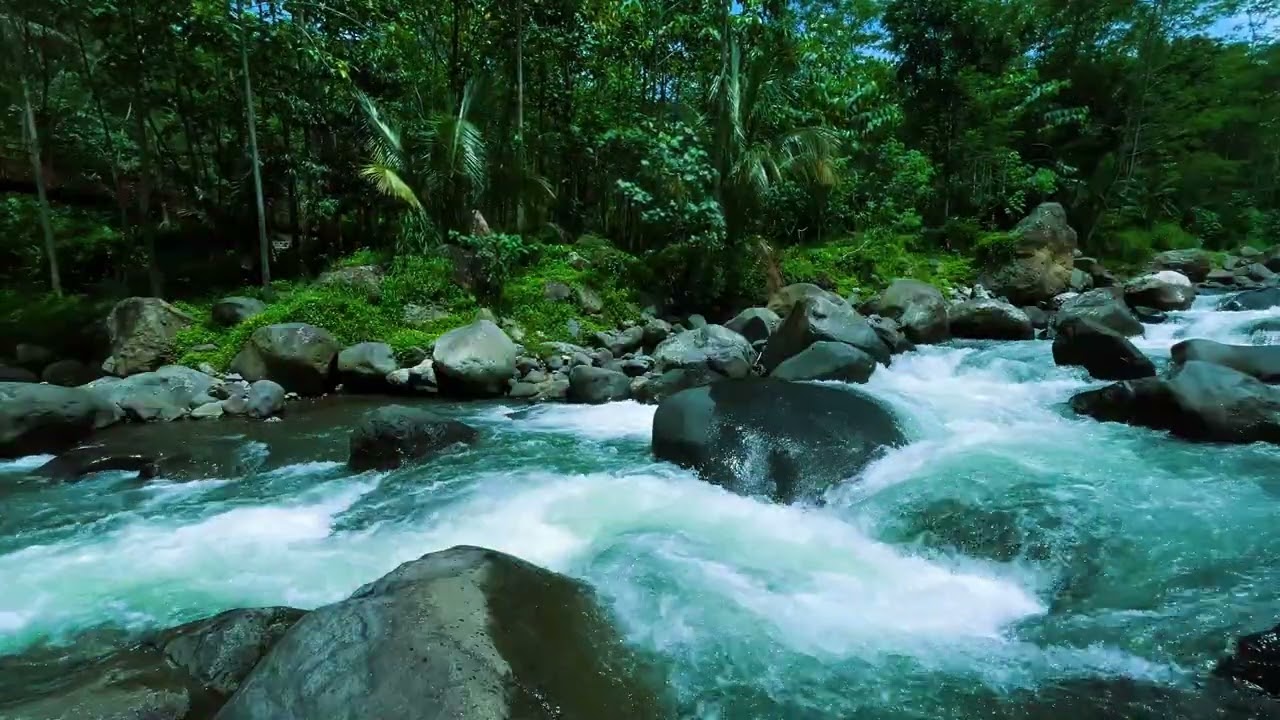 Better Than Sleeping Pills | Natural River Sounds for Insomnia