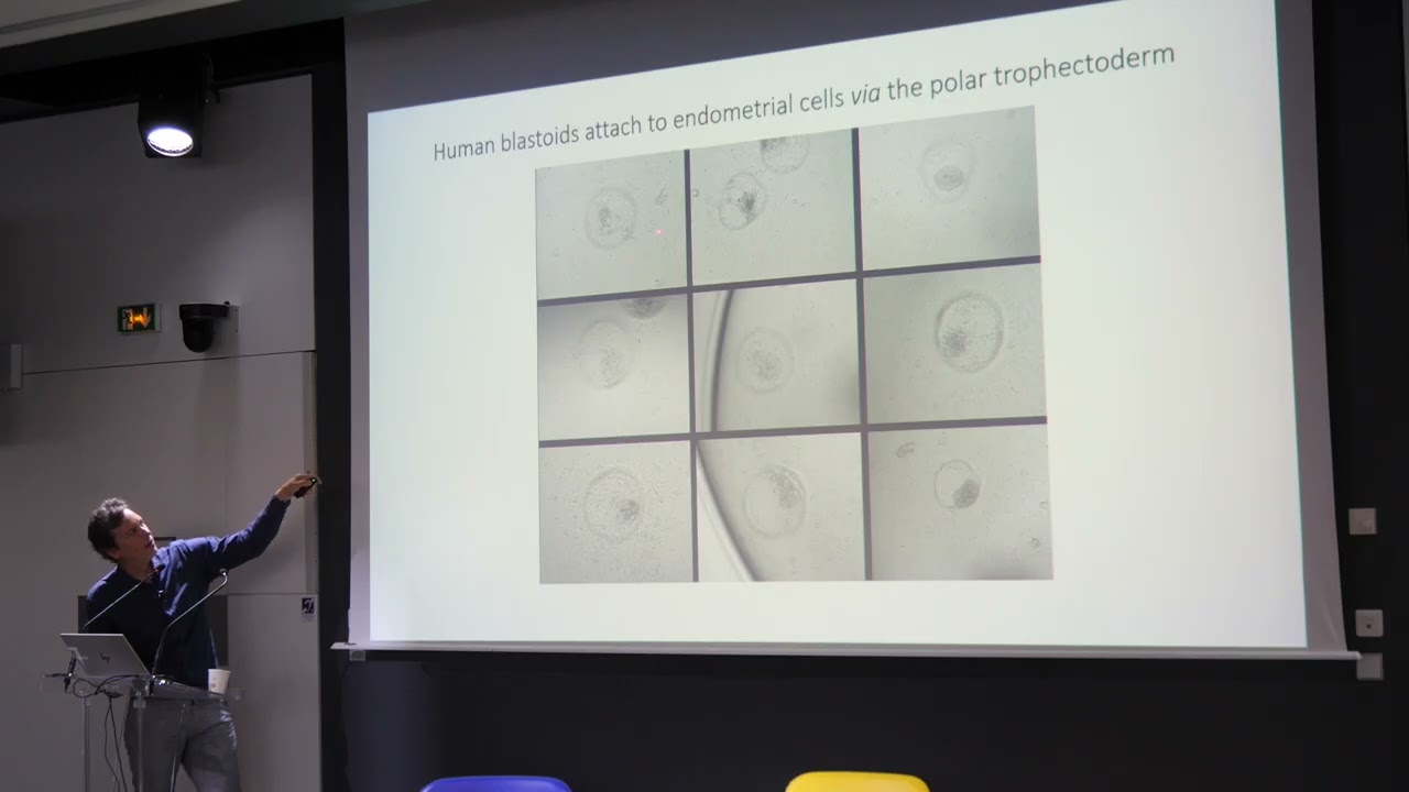 Séminaire de Nicolas RIVRON à l'Institut Imagine