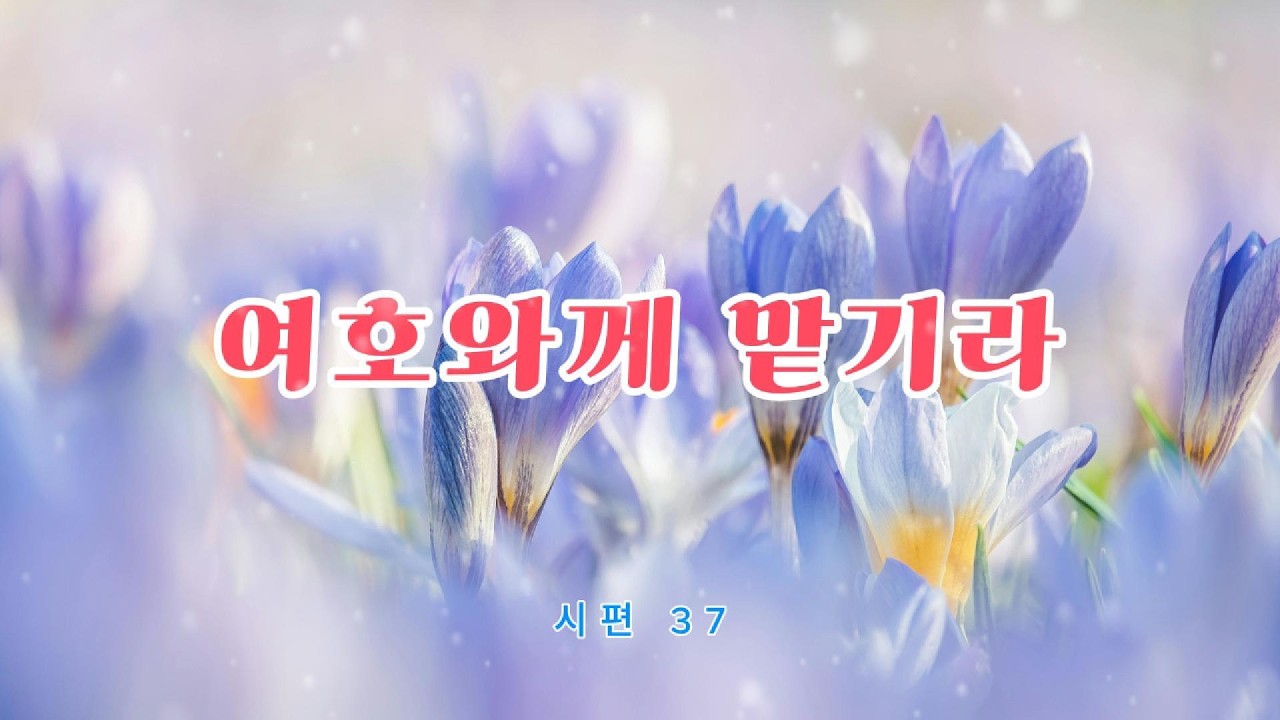 [ 2026 사순절-15 day ] 여호와께 맡기라: 찬양ㅣ강서eTVㅣ AI플랫폼처치ㅣ#사순절 #아침기도 #예수님 #하나님나라 #하나님 #성령 #평안