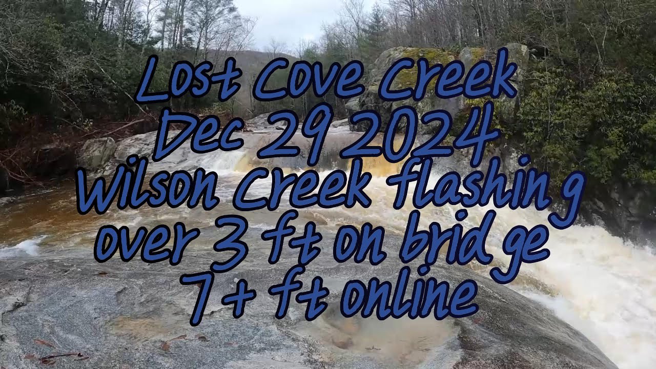 Lost Cove Creek & Hunfish Falls Dec 29th 2024 Wilson flashing around 7 ft online and 36