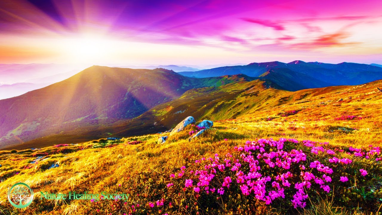 THE BEST GOOD MORNING MUSIC EVER 🥰 528Hz Positive Energy Meditation Music