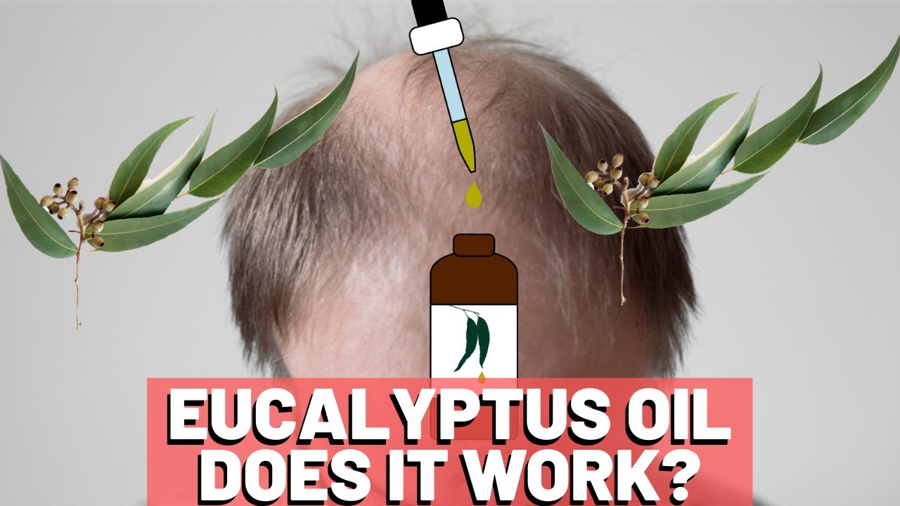 Eucalyptus Oil For Hair Growth - Does It HELP?