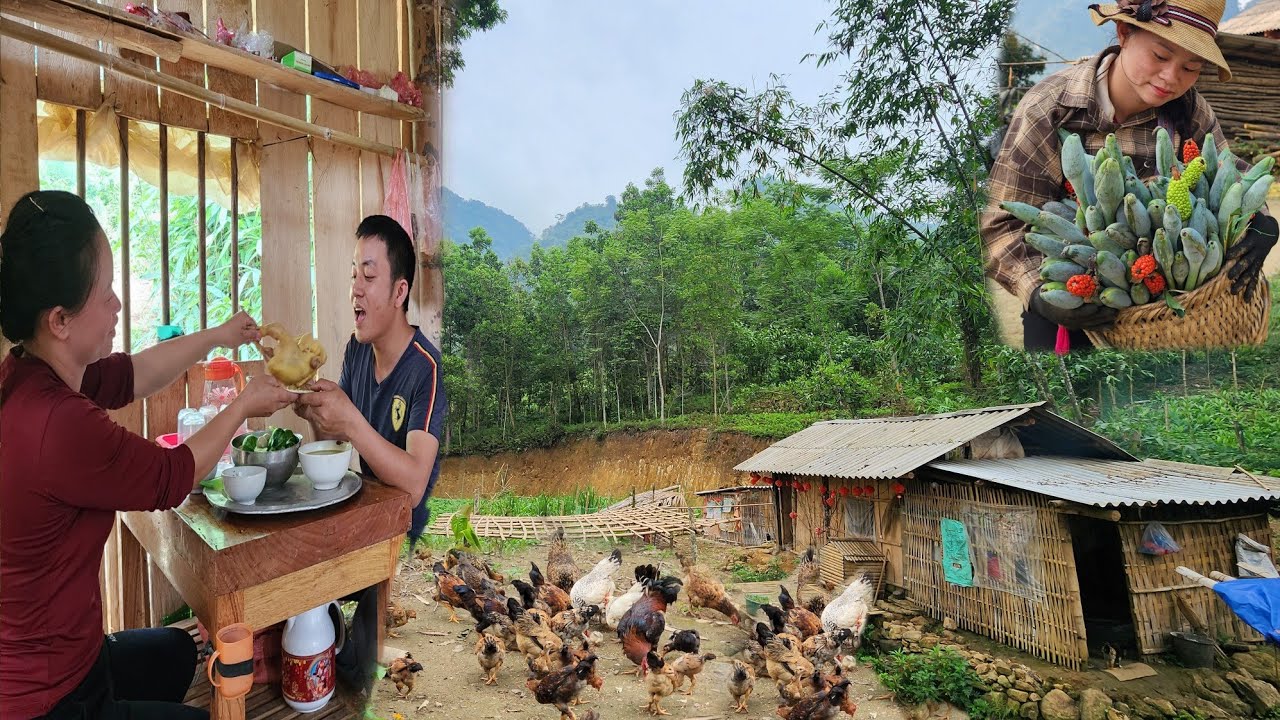 After a hard day's work - Kim and Son return to the small house in the forest: cooking peaceful life