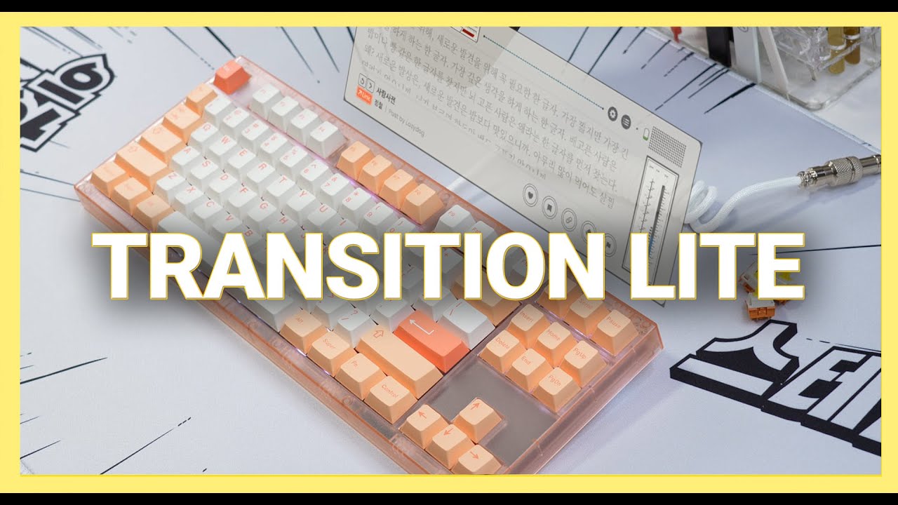 SW Transition Lite | 싸고 가볍다고 무시하지마라!