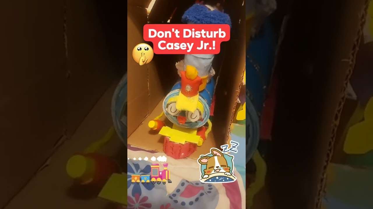Don't Disturb Casey Jr!