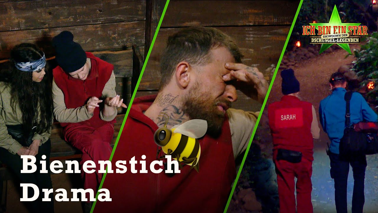 SCHOCK im Camp: Wurde Sarah von einem GIFTIGEN TIER gestochen? 😳| Legenden-Dschungelcamp