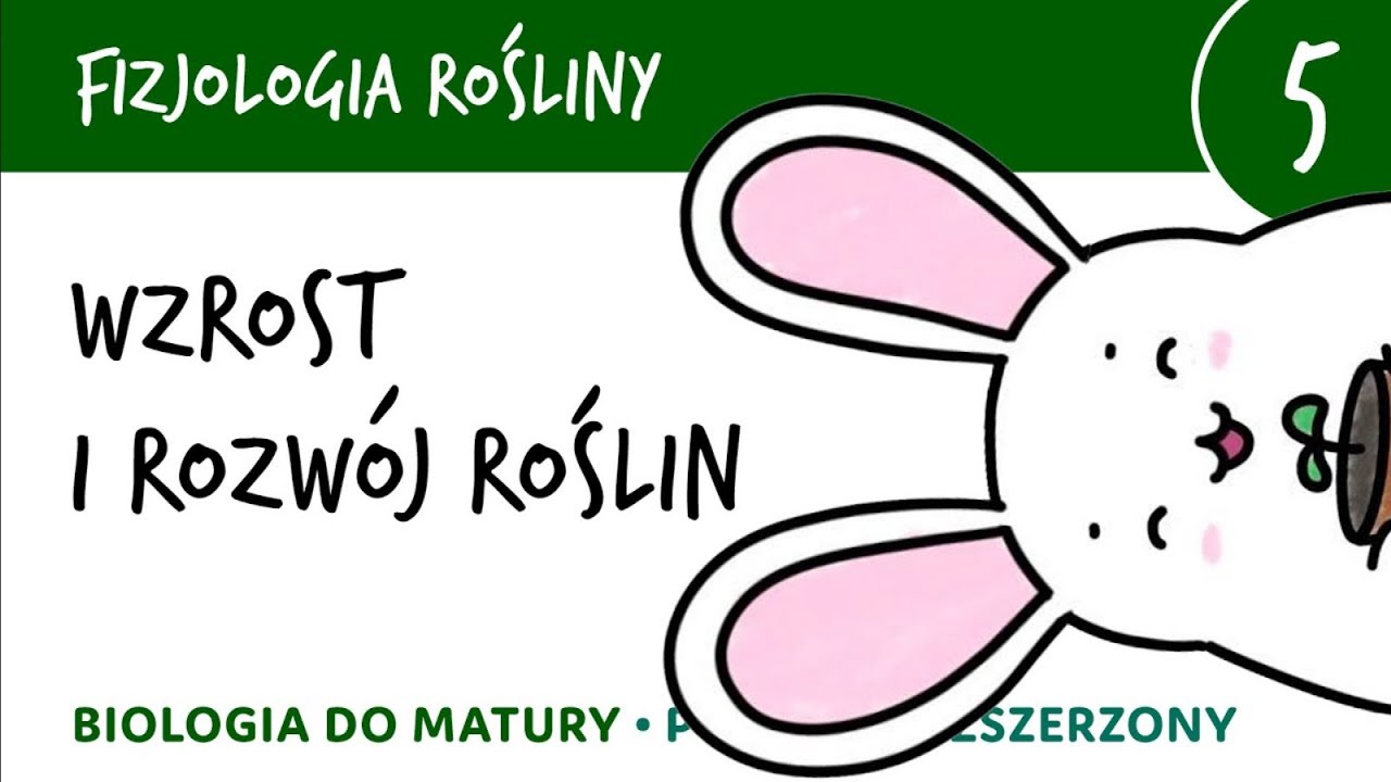 Fizjologia roślin 5 🌱 Wzrost i rozwój roślin - matura z biologii, biologia rozszerzona