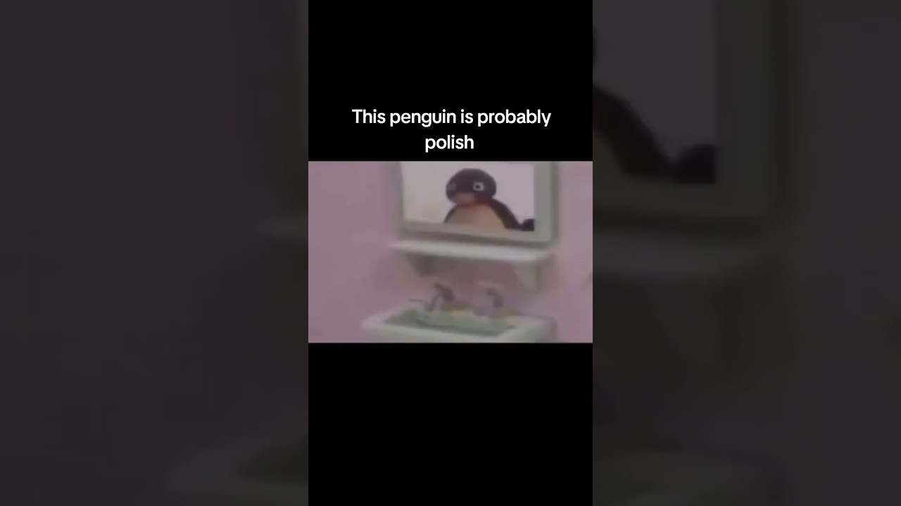 Polski pingwin 🐧 #viralvideo #dlaciebie #memy