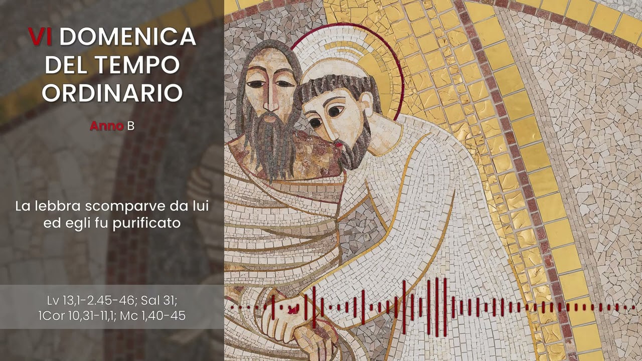 [IL VANGELO FESTIVO] VI DOMENICA DEL TEMPO ORDINARIO (ANNO B) - Jaromír Zádrapa