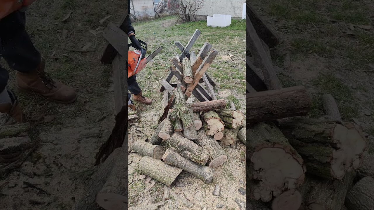 Magical wood cutting, routine and years. Half hard wood