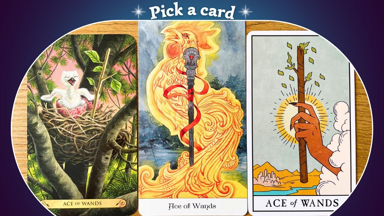 MAJOR SECRET REVEALED About Your FUTURE!! ✨🤩🧡🌈✨Pick a card⎜Timeless Reading