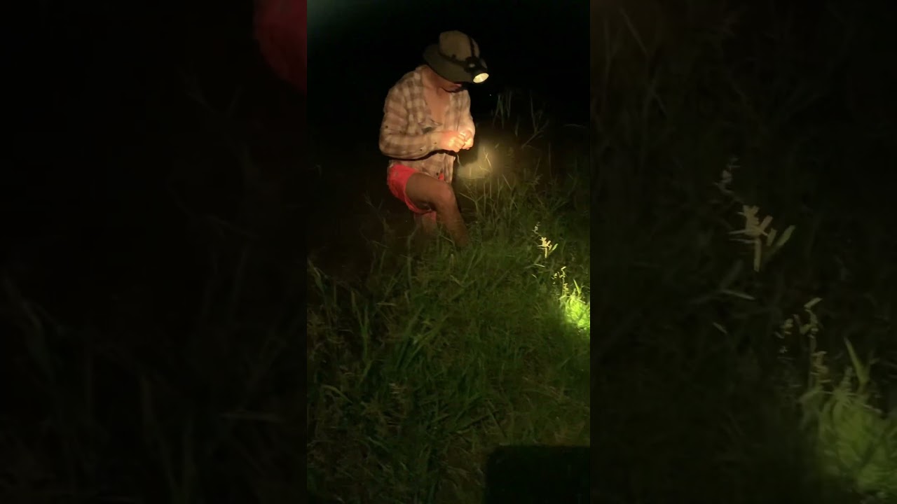 История жизни деревни в Лаосе🇱🇦🐟🌾 เรื่องราวชีวิตหมู่บ้านในประเทศลาว