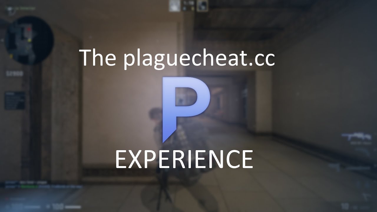 The plaguecheat v5 experience