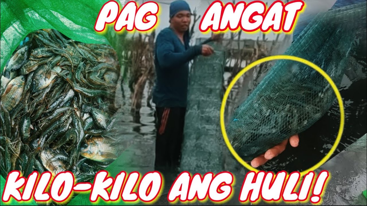 Catch&cook:pag angat napasigaw at nataranta kami!gusto bilhin ng taiwanese ang huli namin!