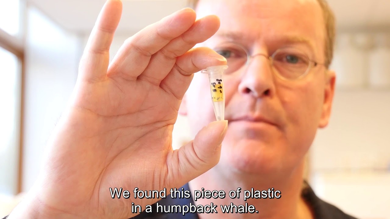 Water research @ Wageningen University & Research