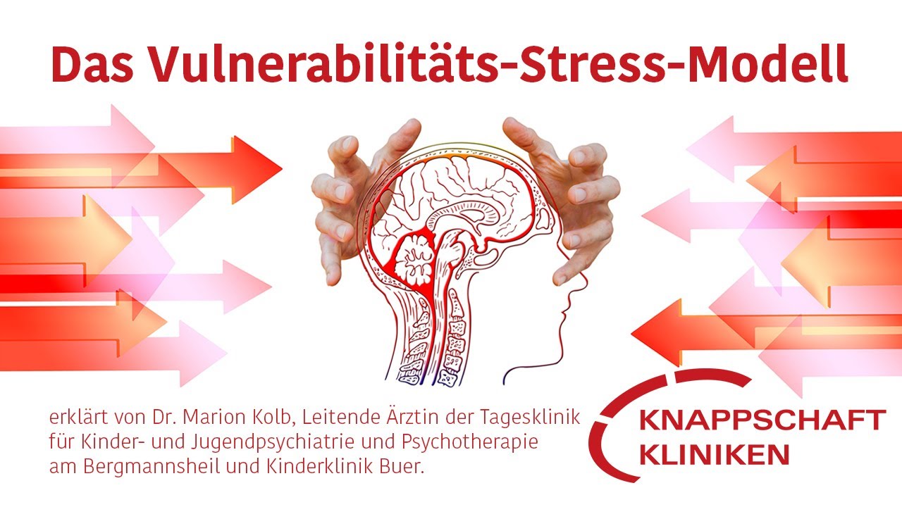 Vulnerabilit&auml;ts-Stress-Modell: Wie stressresistent ist ein Mensch?
