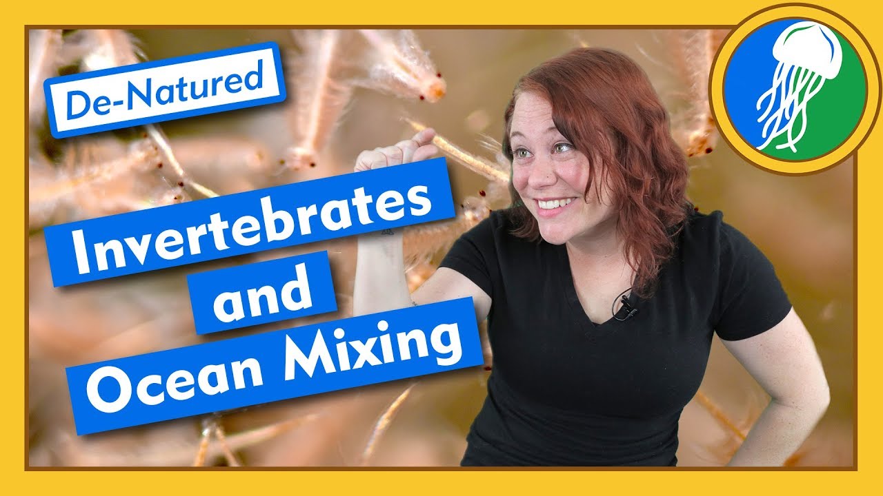 Invertebrates and Ocean Mixing - De-Natured