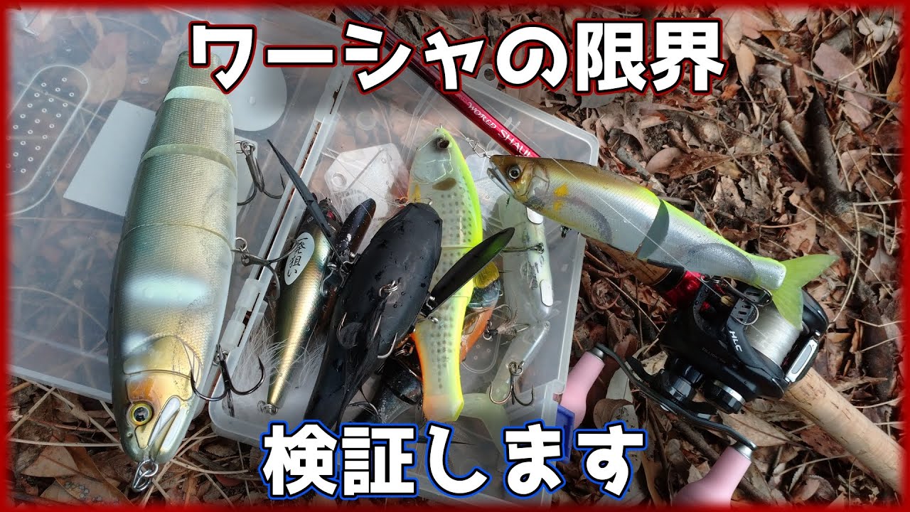 【ワールドシャウラ】バラム、フルキャスト【15101F－3】
