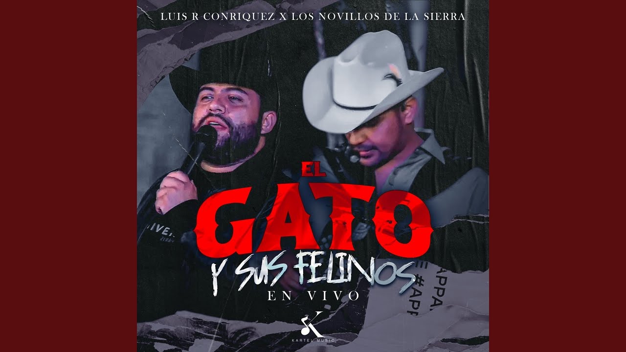 El Gato y Sus Felinos (En Vivo)