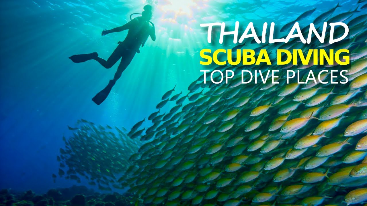 Nurkowanie w Tajlandii | Tyle wrażeń w jednym miejscu!