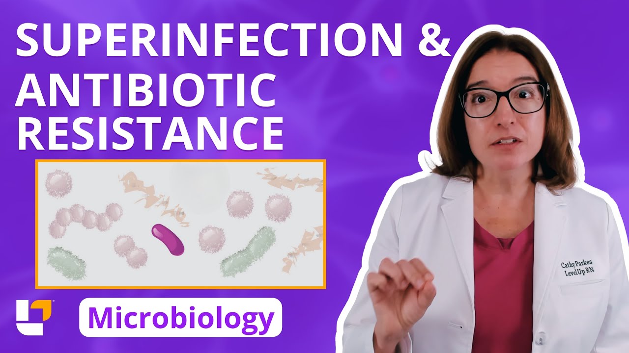 Superinfection & Antibiotic Resistance - Control of Growth: Microbiology Pre Nursing |@LevelUpRN