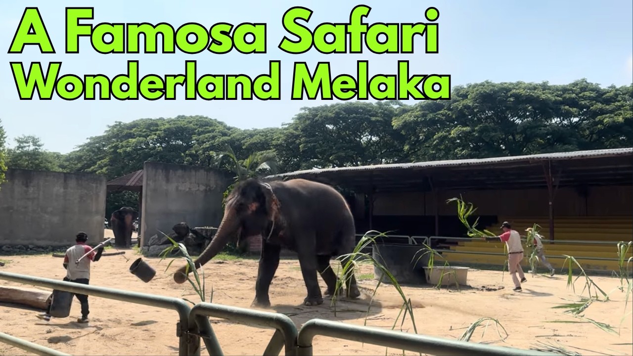 A Famosa Safari Park Melaka best ever Zoo experience in Malaysia. #travel #animals #zoo #safari
