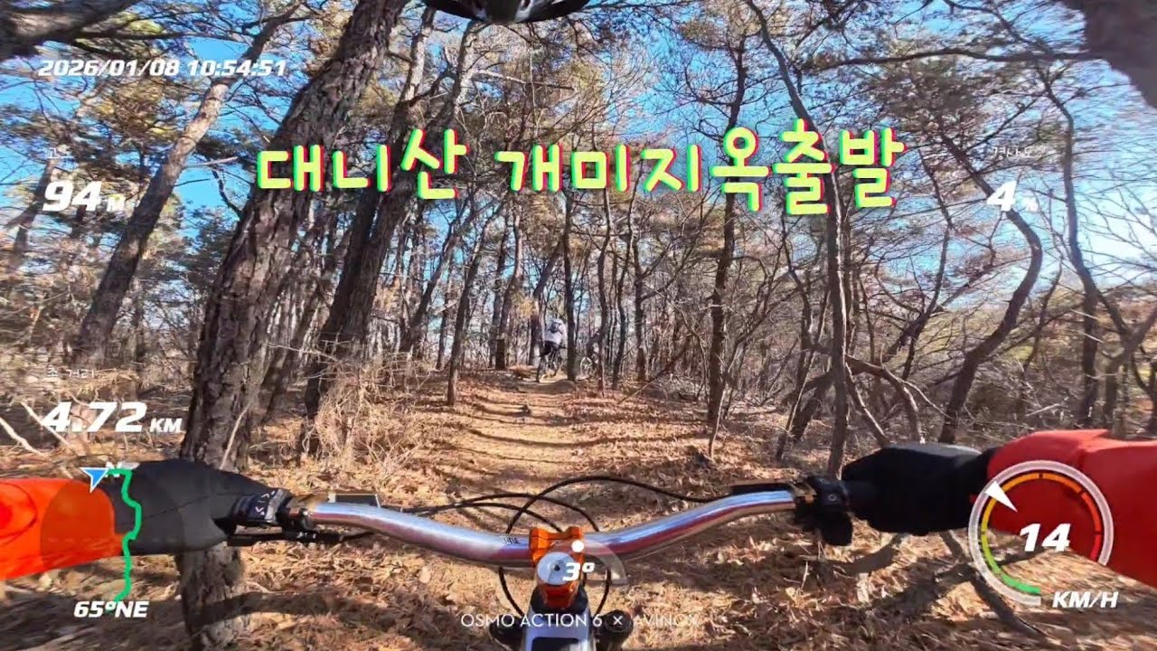화정 대니산 개미지옥 돌기