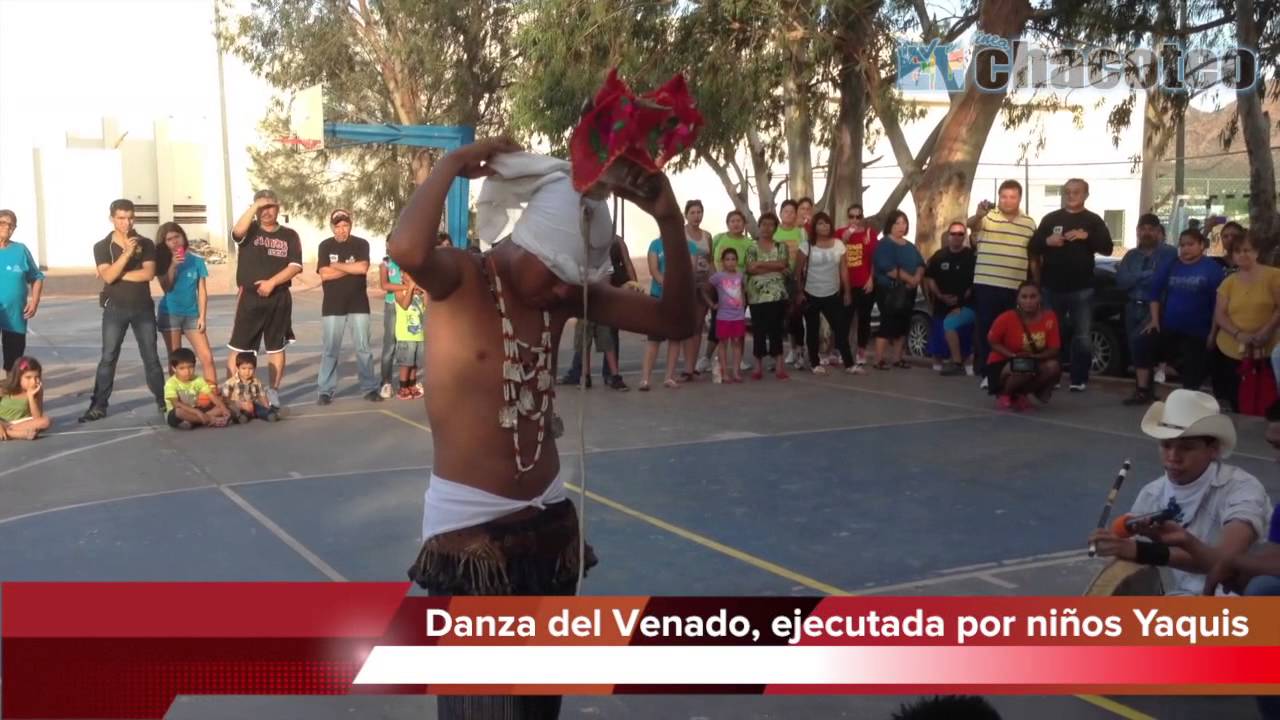 Niños Yaquis ejecutan la Danza del Venado