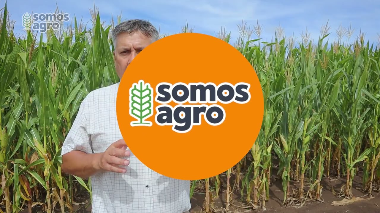 SOMOS AGRO 5 DE MARZO