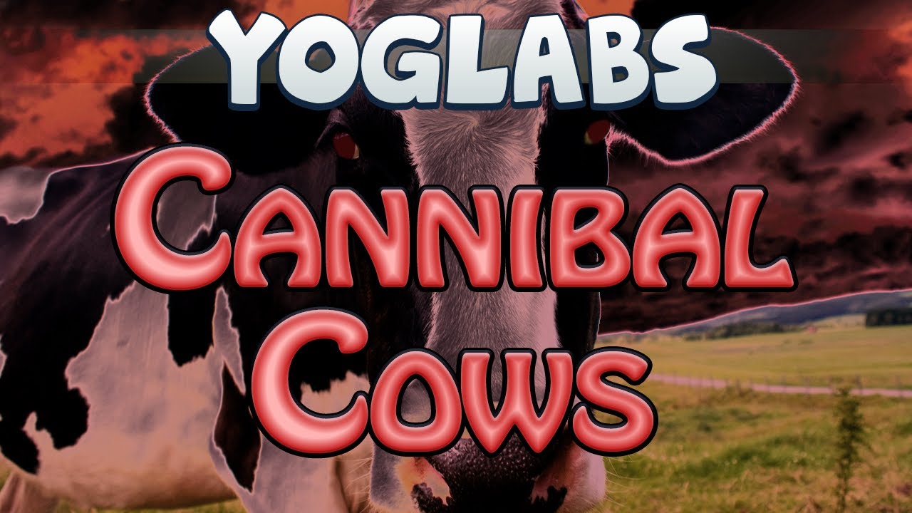 Minecraft Mods - Cannibal Cows - YogLabs