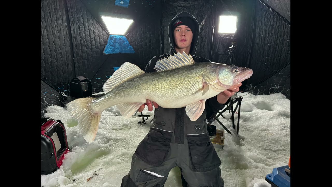 new pb walleye on lake Winnipeg!!!!