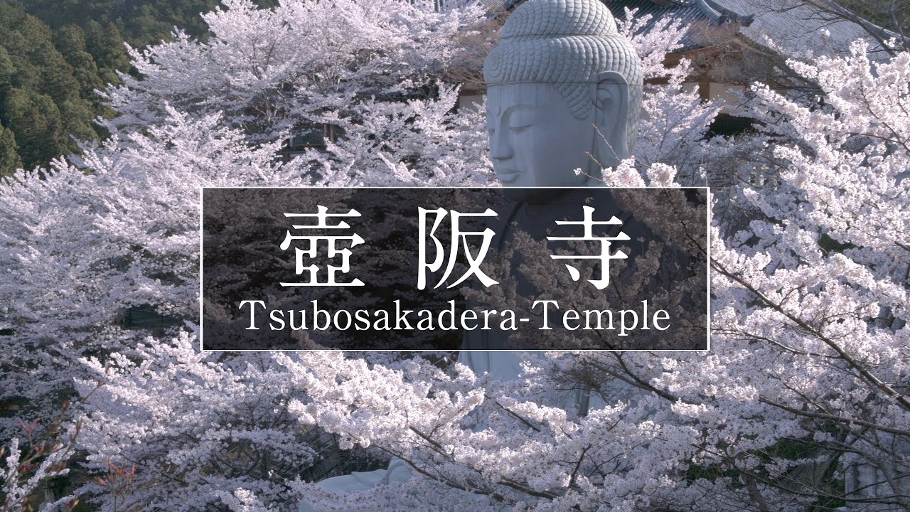 壺阪寺（南法華寺）編「第１話」｜奈良観光コンシェルジュが高取町のお寺をご紹介：Tsubosakadera-Temple in Takatori Village｜Nara