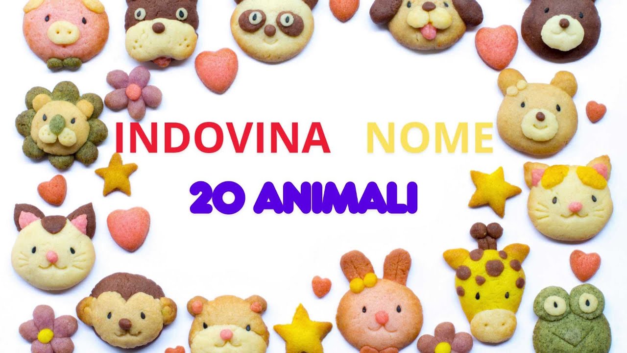 Quiz indovina nome 20 animali
