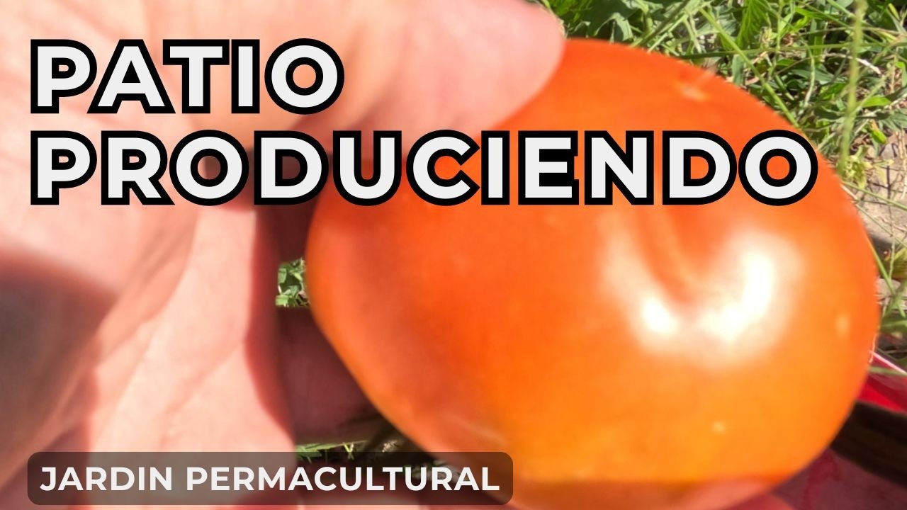 Dermatitis Vegetal Prevención? | Jardín Permacultural