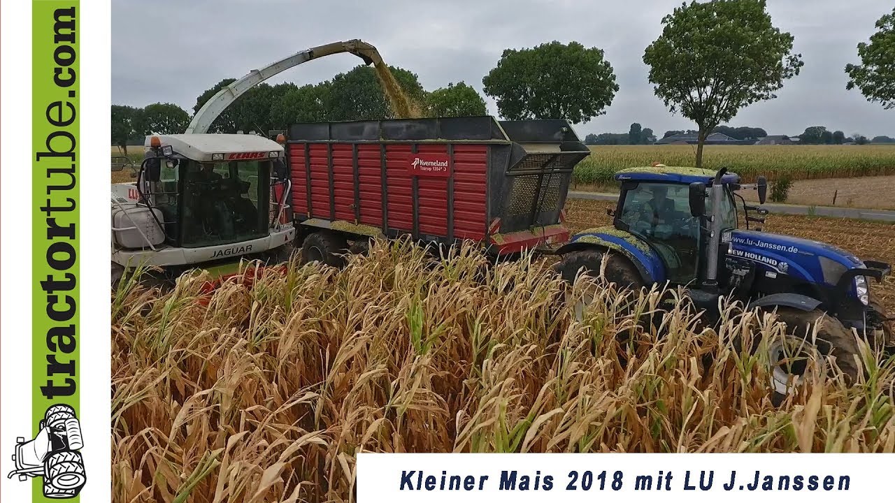 Maishäckseln 2018 - LU J. Janssen im Kleinmais - epic, pur sound - corn silage
