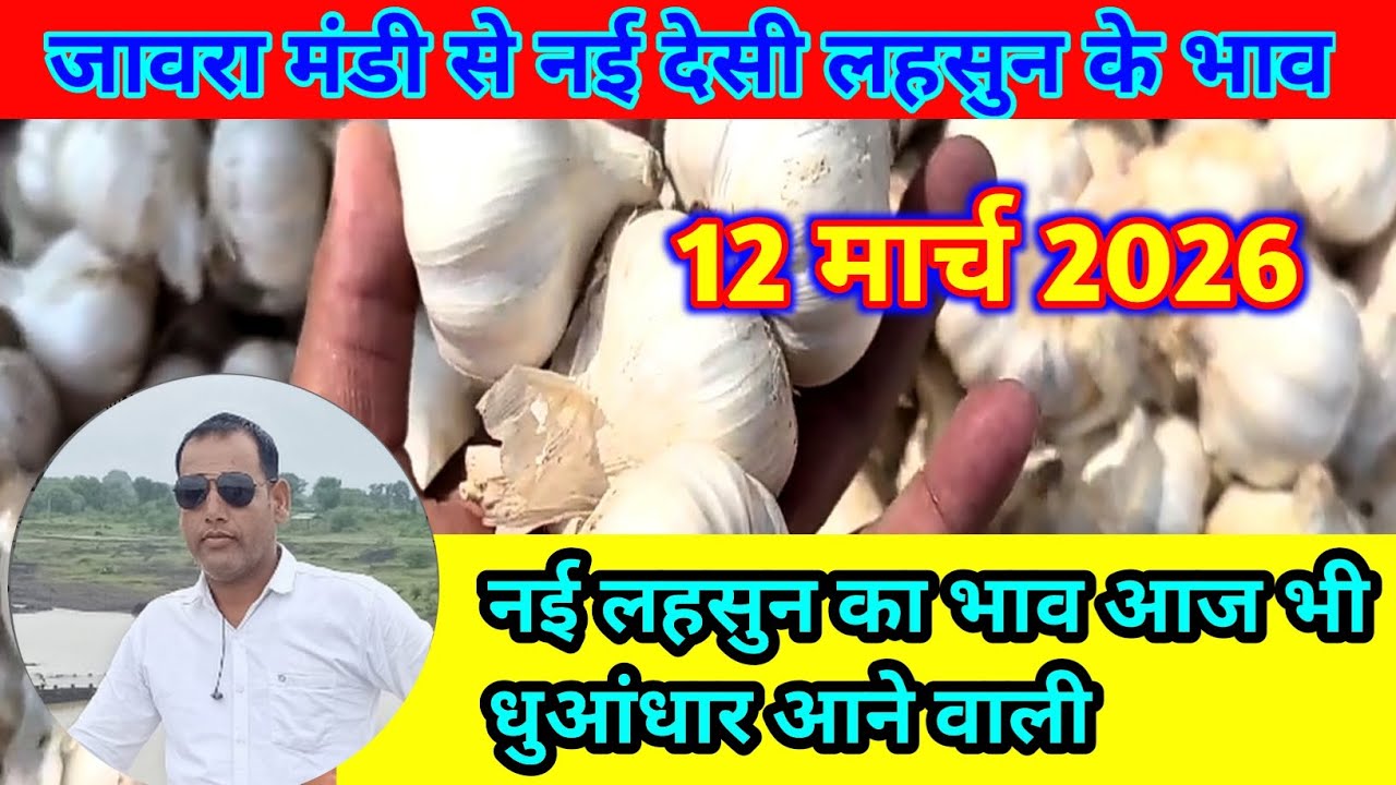आज के जावरा मंडी में लहसुन के ताजा भाव | Jaora Mandi Garlic Price Today | Lahsun Bhav Today