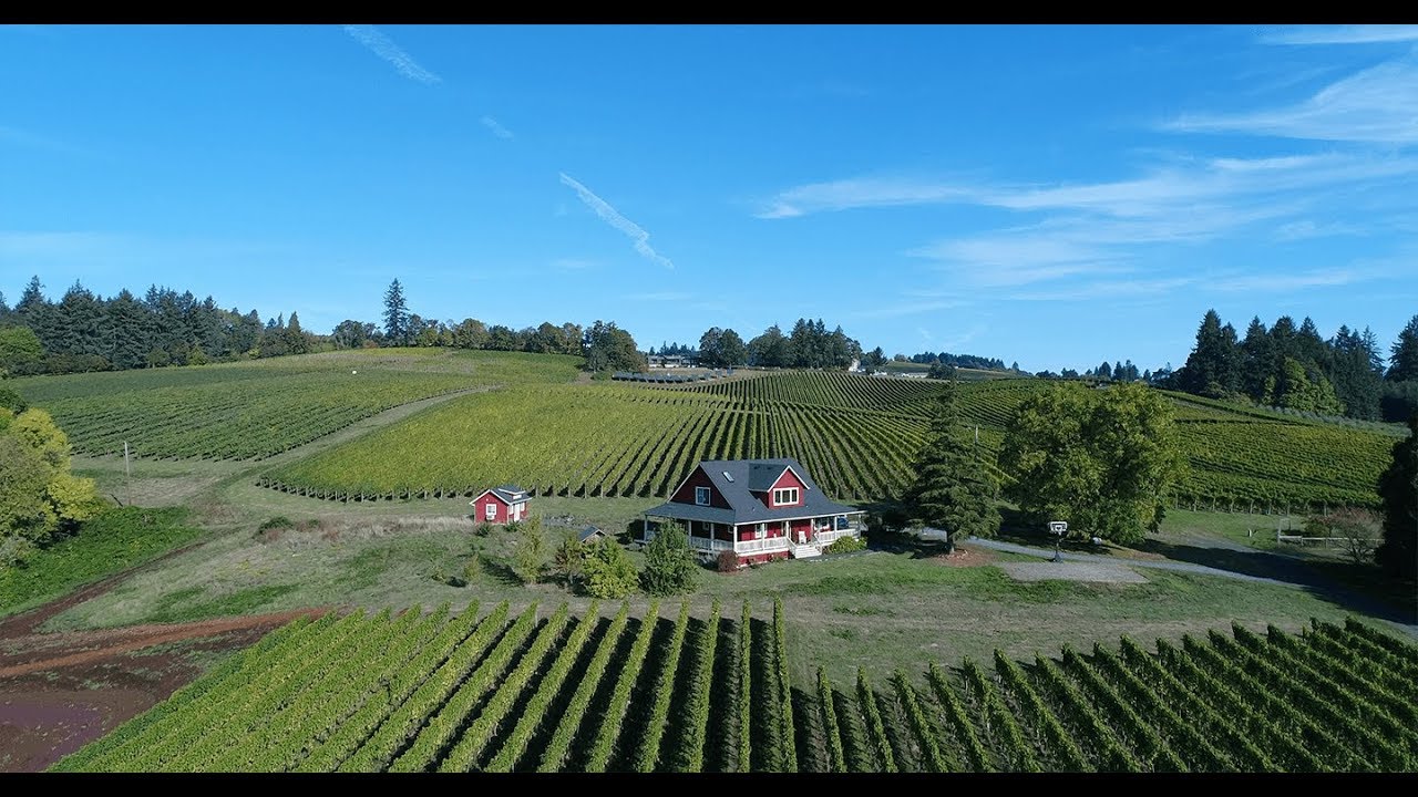 Bird's Eye View of Sokol Blosser Winery
