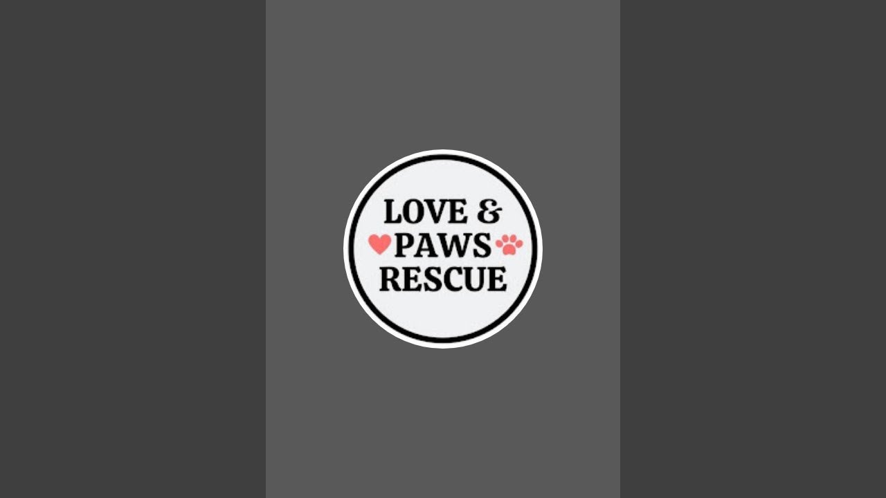 we needs dogs food