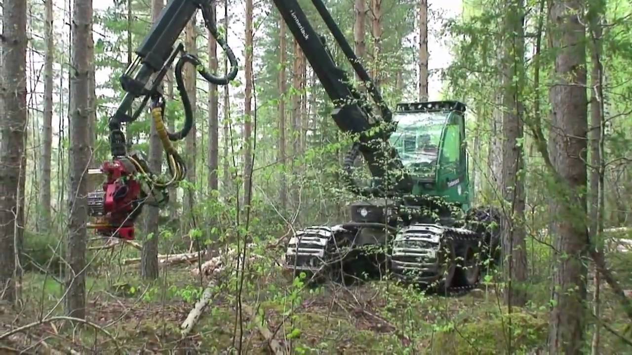 SP 451 LF on Timberjack 1070