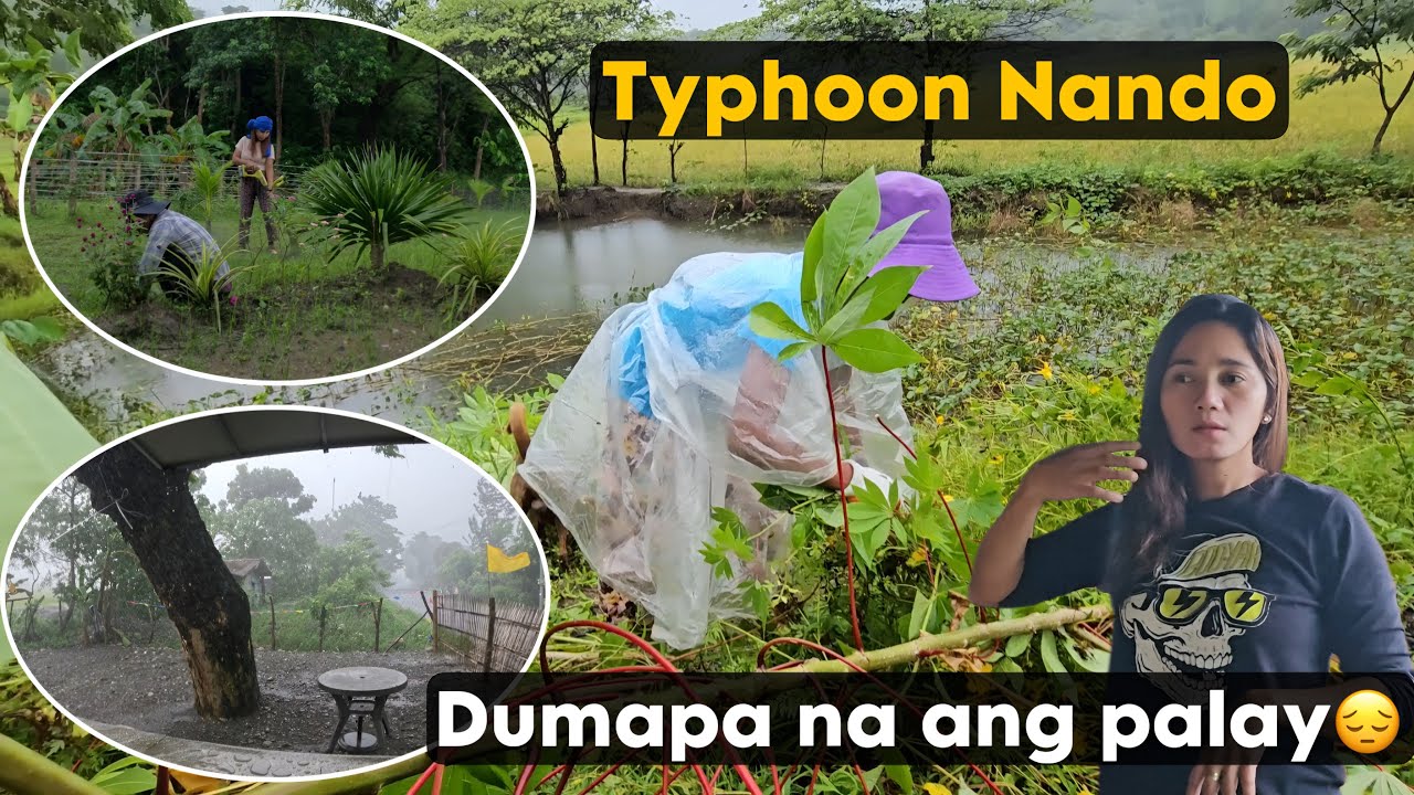 Nagparamdam na ang bagyong nando inabutan kami ng malakas na ulan sa kubo | Buhay Probinsya 