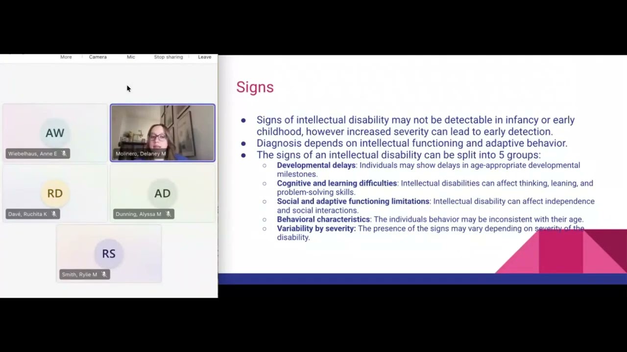 IDD group D1 - What is IDD?