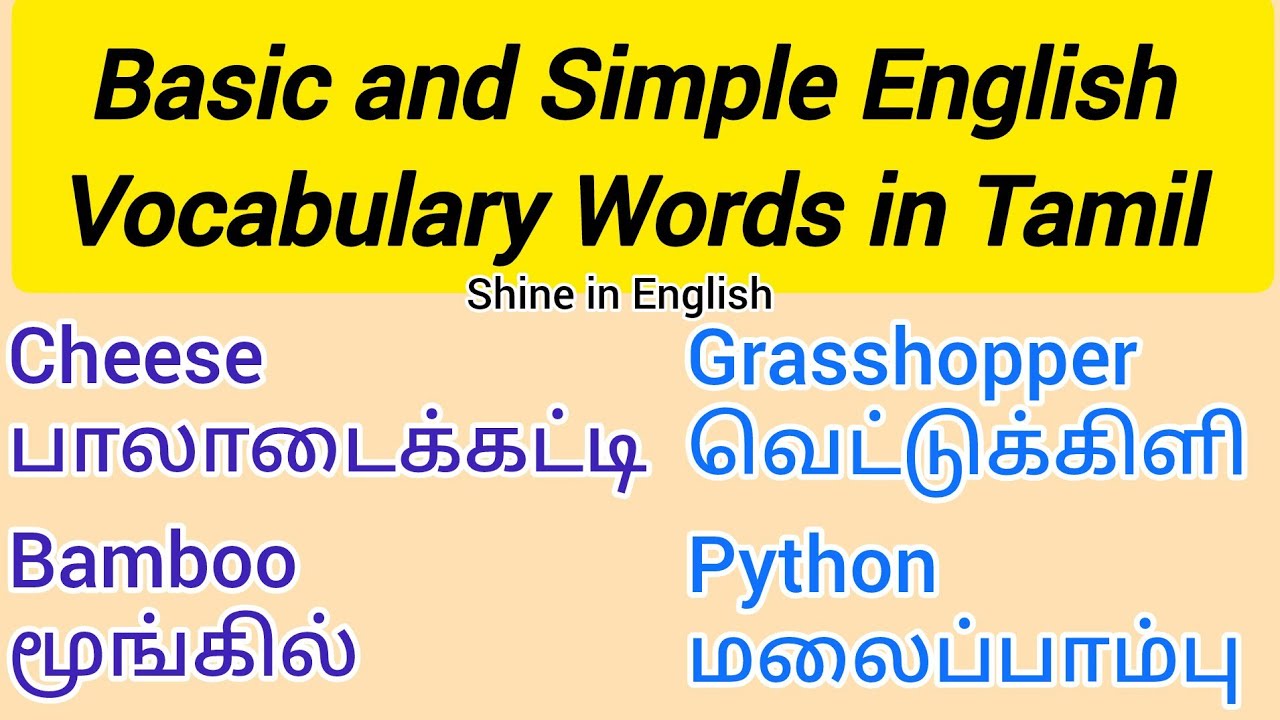 Spoken English Vocabulary Words in Tamil| Spoken English| Daily used English sentences| English #yt