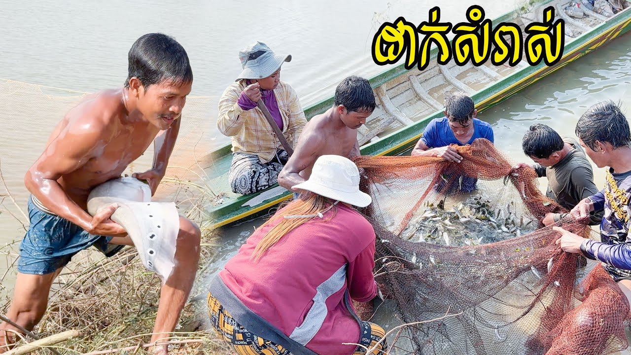 សំរាស់នេះចូលត្រីក្រាយធំៗពីរក្បាល លើកសំរាស់យកត្រីតាមប្រឡាយ By Nimitt Fishing Ep07