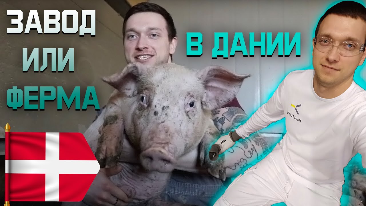 Где лучше работать, на Заводе или Ферме в Дании?!
