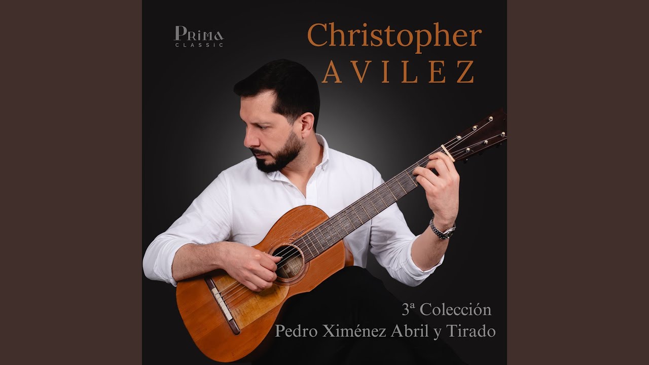 A⁠ndante No. 12 in B Minor