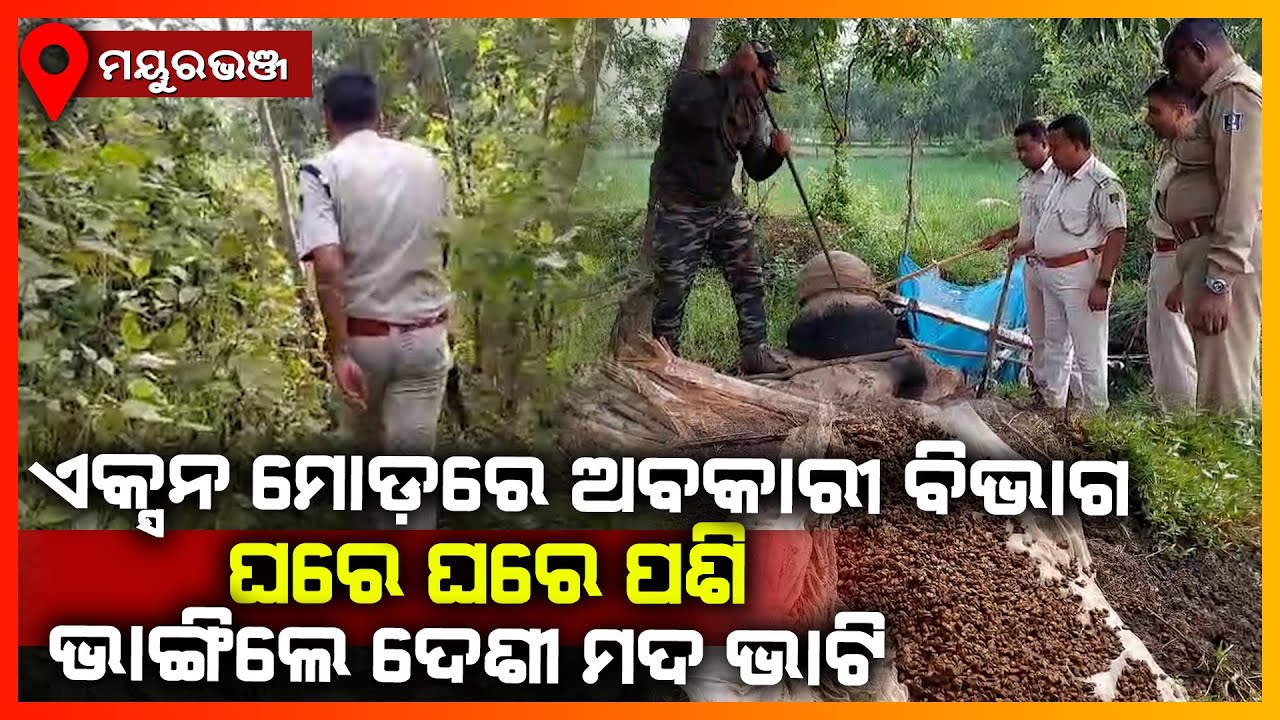 ଏକ୍ସନ ମୋଡ଼ରେ ଅବକାରୀ ବିଭାଗ ଘରେ ଘରେ ପଶି ଭାଙ୍ଗିଲା ଦେଶୀ ମଦ ଭାଟି || MAYURBHANJ NEWS