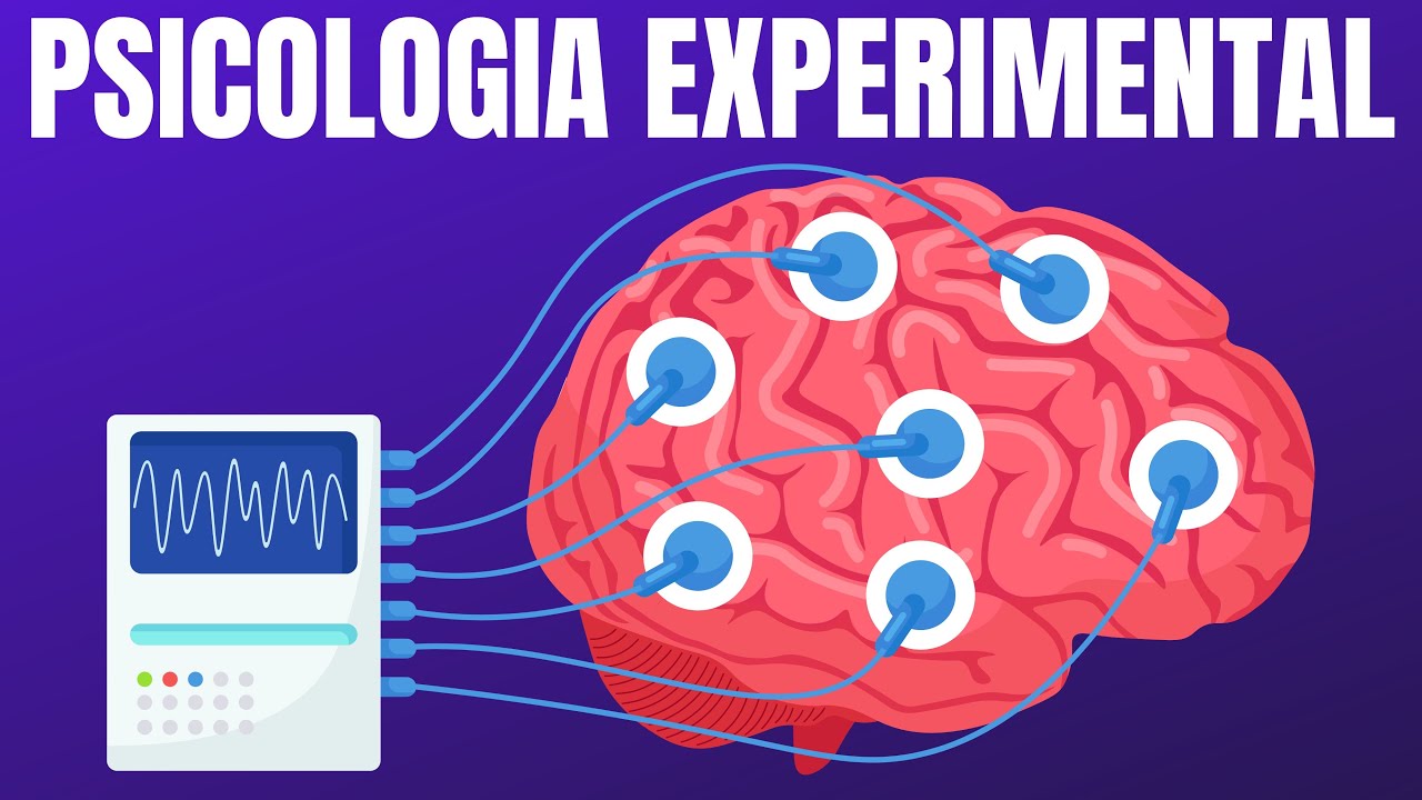 Descubre los secretos de la Psicolog&iacute;a Experimental